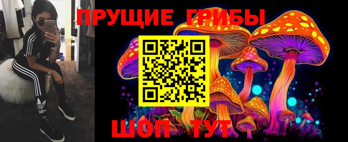 Галлюциногенные грибы Psilocybe Лабытнанги